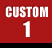 custom 1
